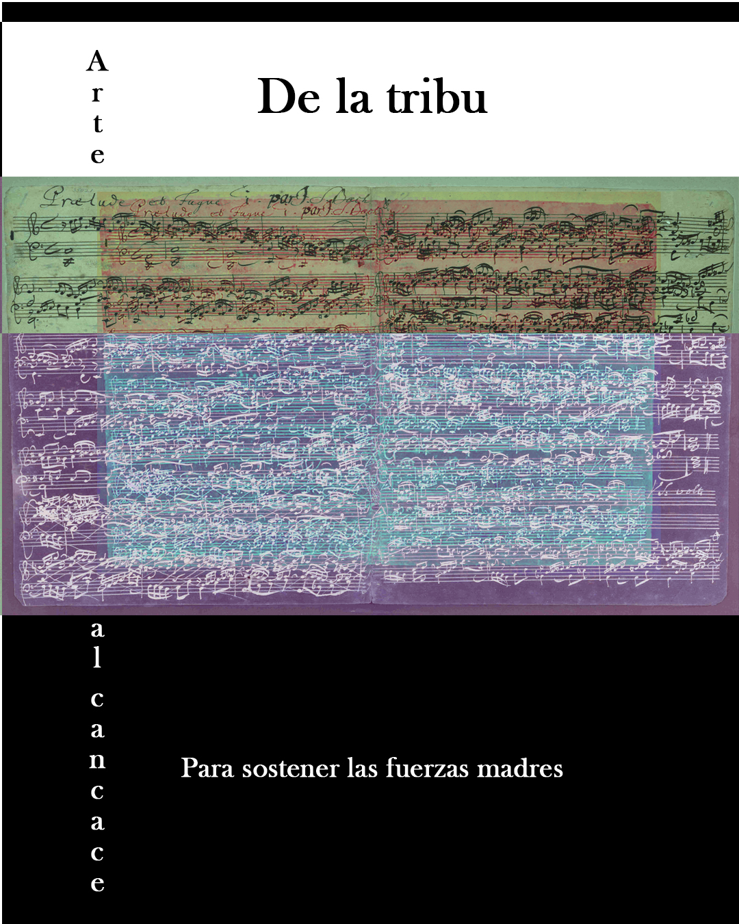 Marco Godoy Toro «Malformación de los cantos de gallos, poesía sin fin para todos los animales del mundo»