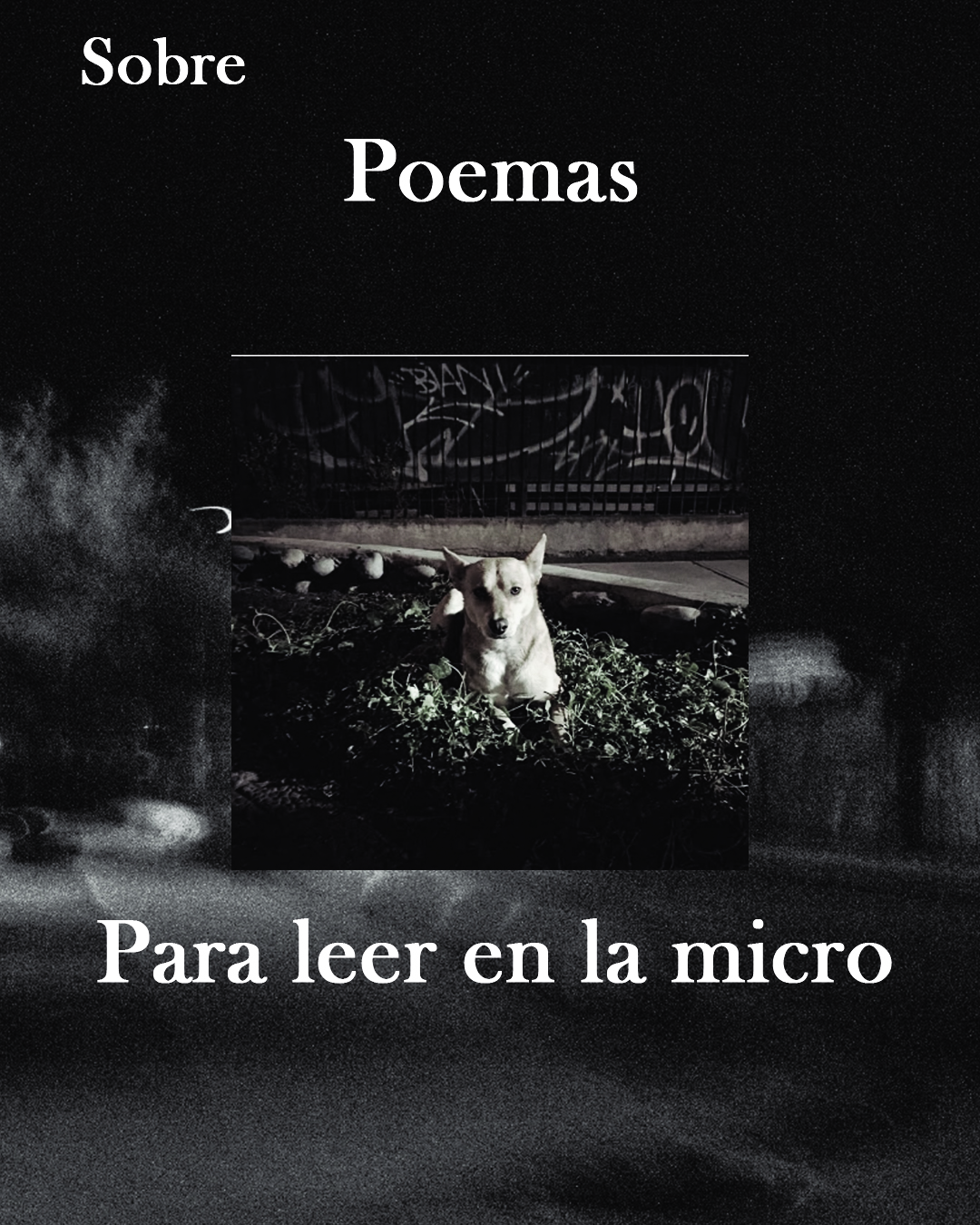 A 5 el 0,5 / a 8 el g: presentación del antipoemario Poemas para leer en la micro, de José Oyanedel Contreras